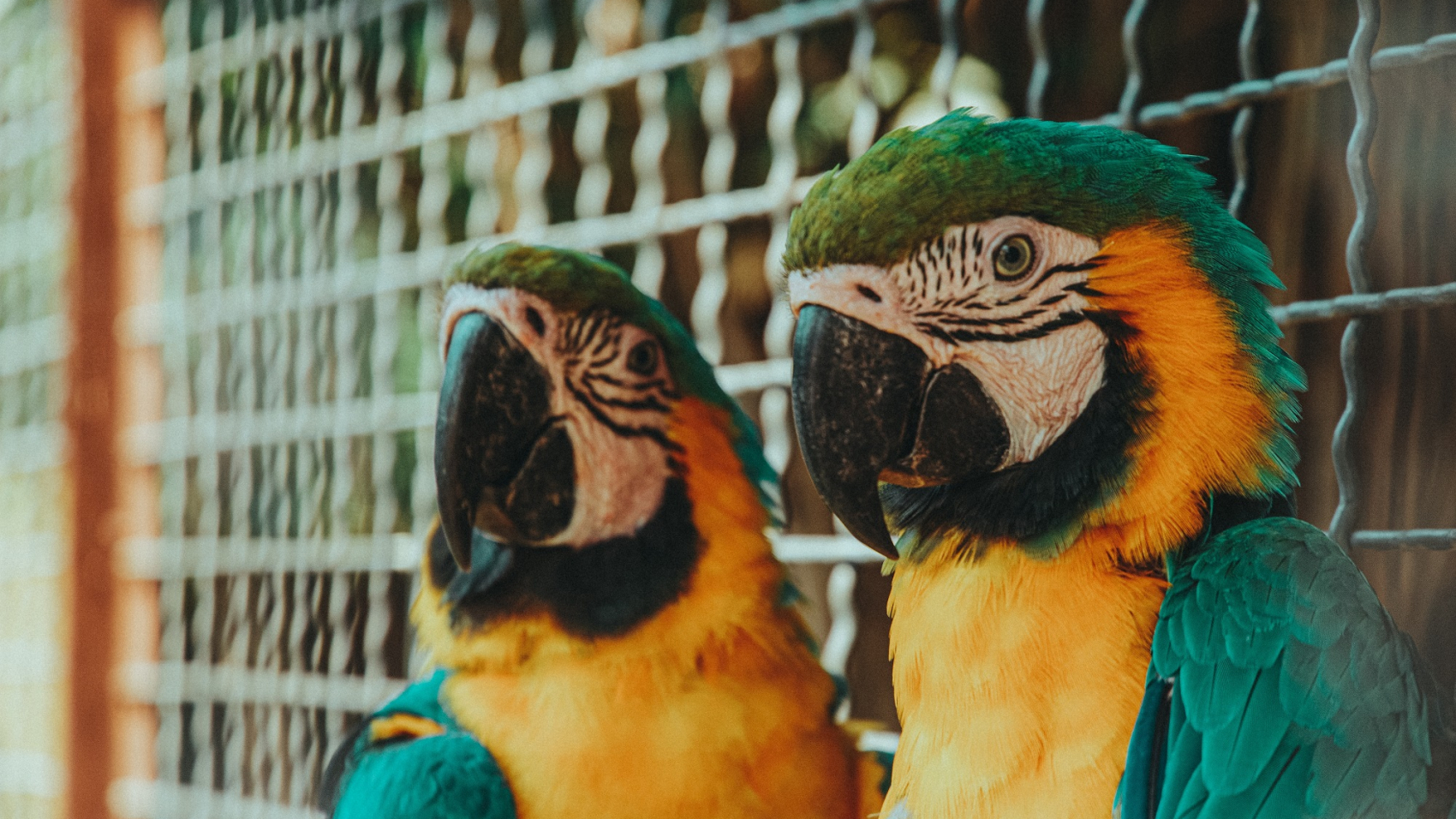 kirill-shavlo-FLhRPl_AZUs-unsplash