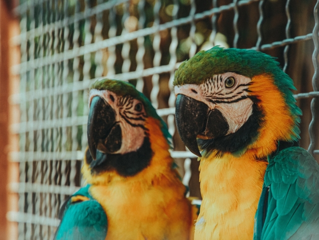 kirill-shavlo-FLhRPl_AZUs-unsplash